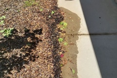 burst-pipe