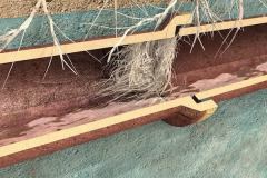 how-roots-get-into-earthenware-pipes
