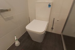 replacement of old toilet